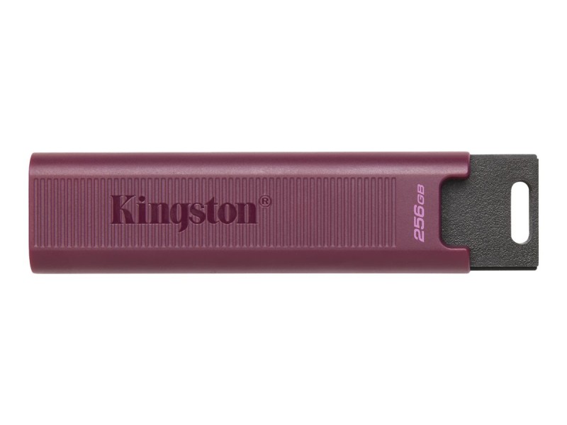 Kingston DataTraveler Max  1TB USB-A