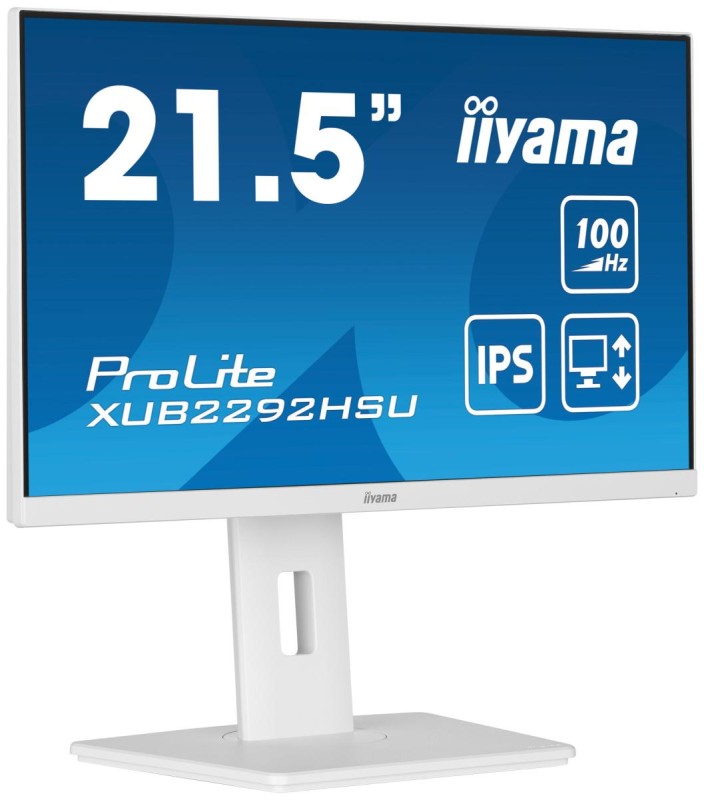 iiyama ProLite 21.5” IPS technology panel with height adjustable stand and 100Hz refresh rate