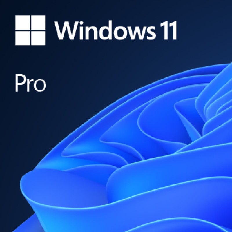 MS Windows 11 Pro 64-Bit 1PK ENG